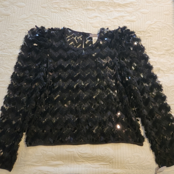 Sequined Sheer Top - Picture 1 of 5